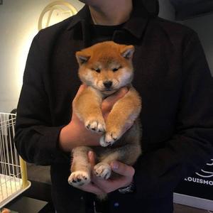 曹颖被❌到爽🔞流斗破苍穹
